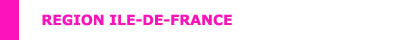 logo_idf